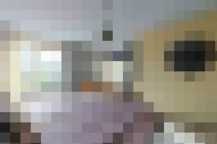 Pakistanstraat 21 Alphen aan den Rijn thumbnail 33