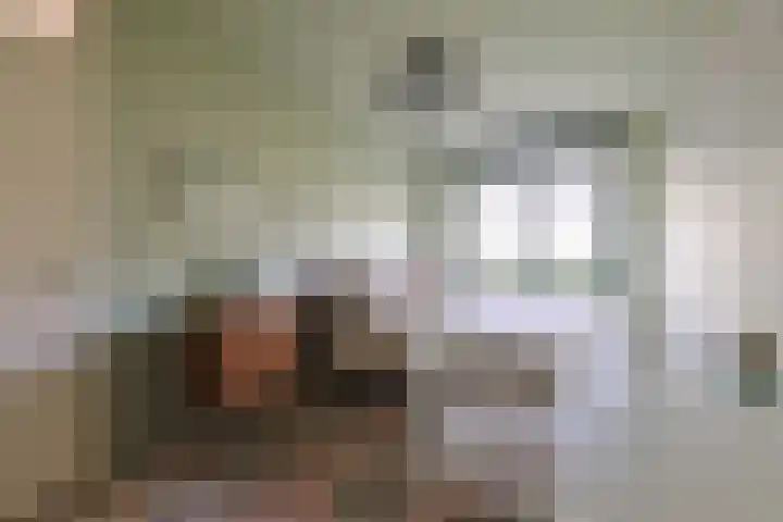 Pakistanstraat 21 Alphen aan den Rijn thumbnail 36