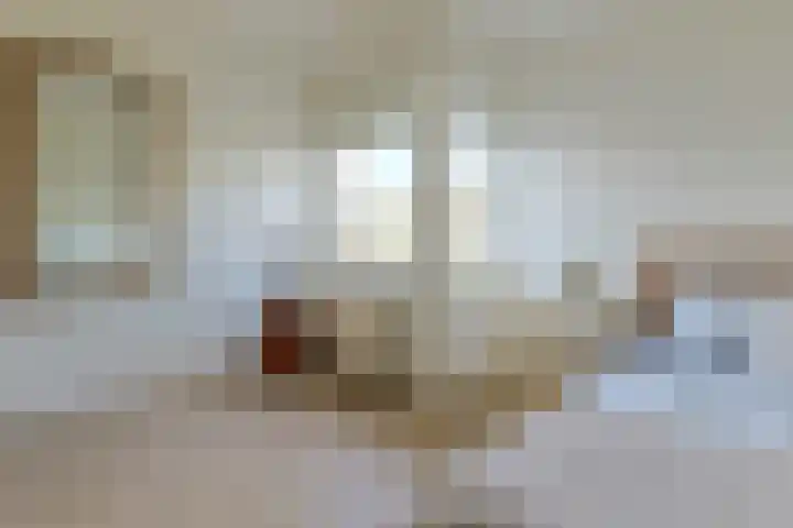 Pakistanstraat 21 Alphen aan den Rijn thumbnail 41