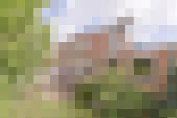 Pakistanstraat 21 Alphen aan den Rijn thumbnail 53