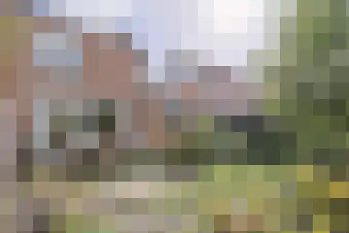 Pakistanstraat 21 Alphen aan den Rijn thumbnail 54
