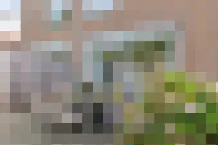 Pakistanstraat 21 Alphen aan den Rijn thumbnail 55