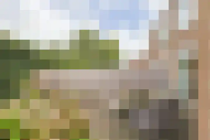 Pakistanstraat 21 Alphen aan den Rijn thumbnail 56