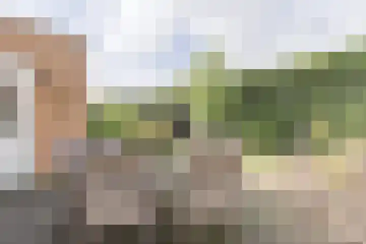 Pakistanstraat 21 Alphen aan den Rijn thumbnail 57