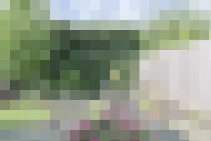 Pakistanstraat 21 Alphen aan den Rijn thumbnail 58