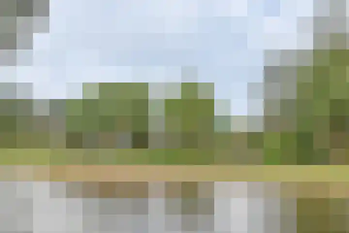 Pakistanstraat 21 Alphen aan den Rijn thumbnail 61