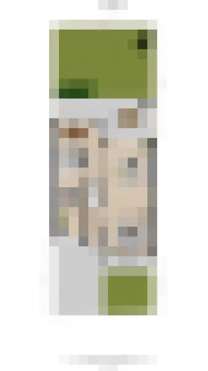 Pakistanstraat 21 Alphen aan den Rijn thumbnail 63