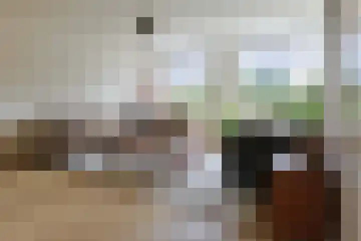 Pakistanstraat 21 Alphen aan den Rijn thumbnail 7