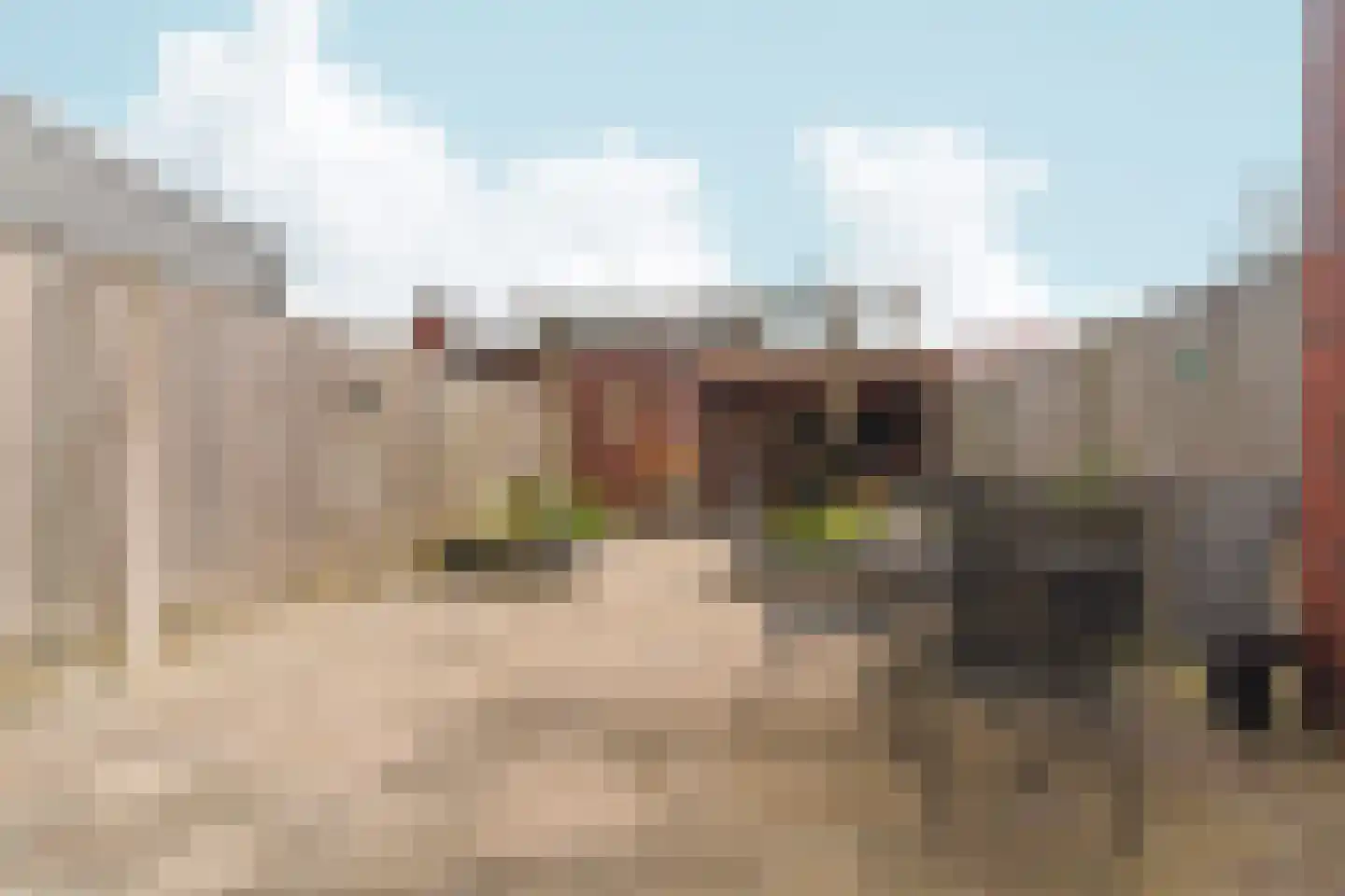 Pakkebierhofstraat 8 Zevenaar thumbnail 32