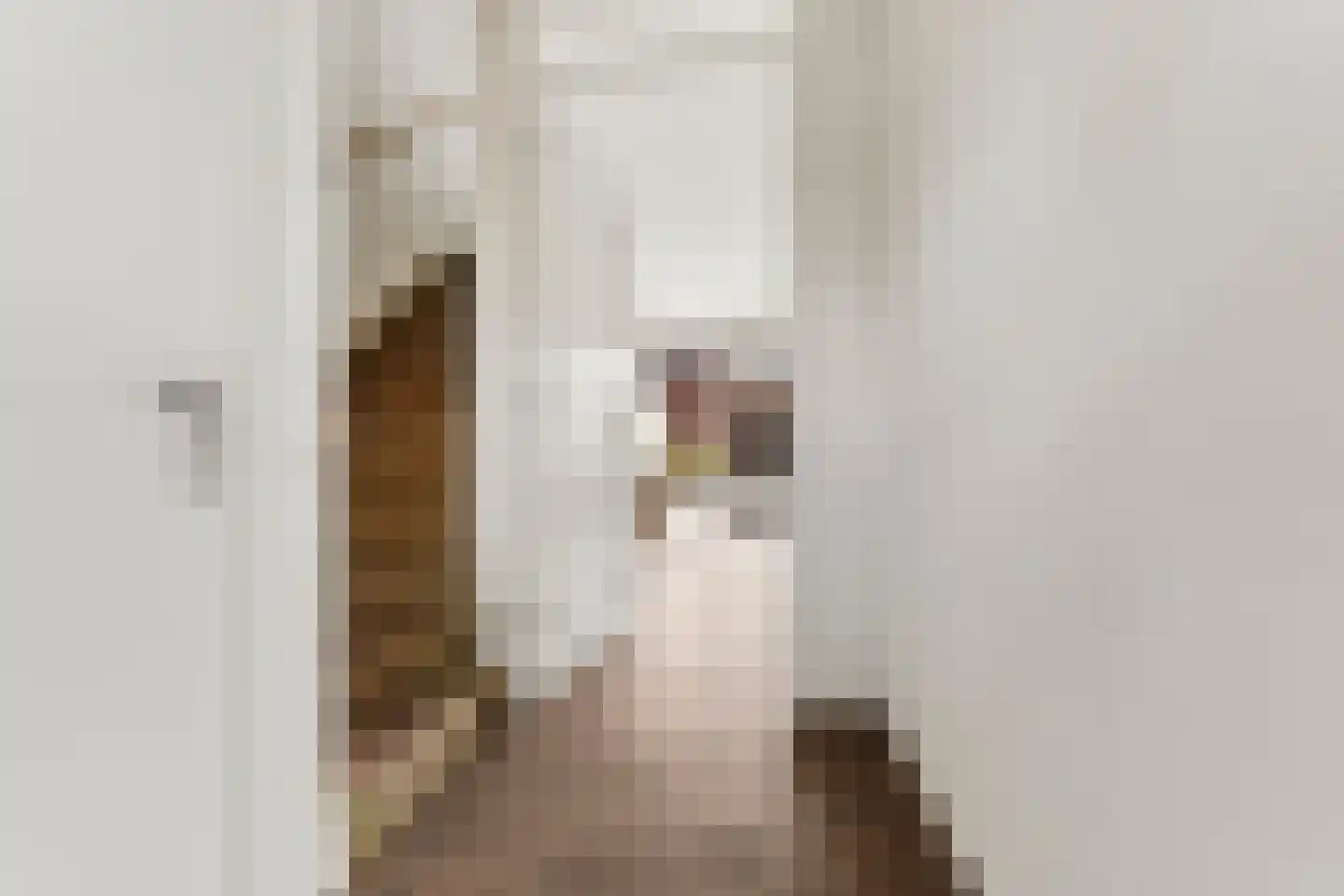 Pakkebierhofstraat 8 Zevenaar thumbnail 5