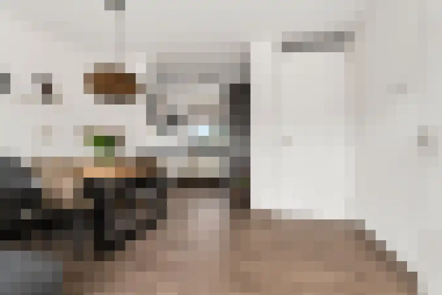Pakkebierhofstraat 8 Zevenaar thumbnail 7