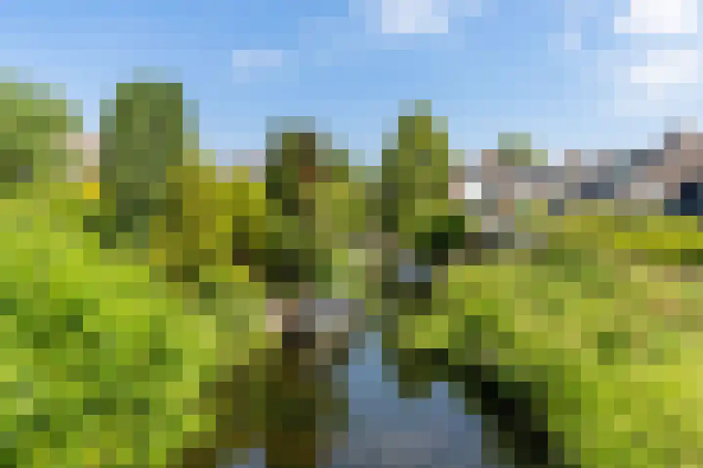 Pal Maleterstraat 7 Leiden thumbnail 4