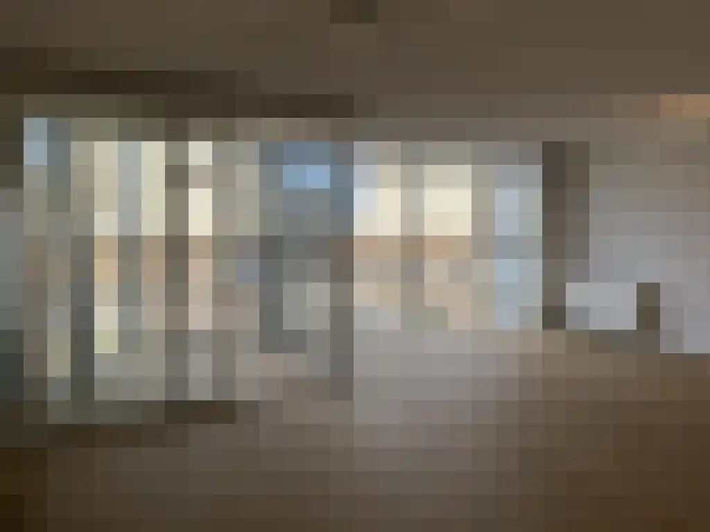 Palaceplein 148 Den Haag thumbnail 6