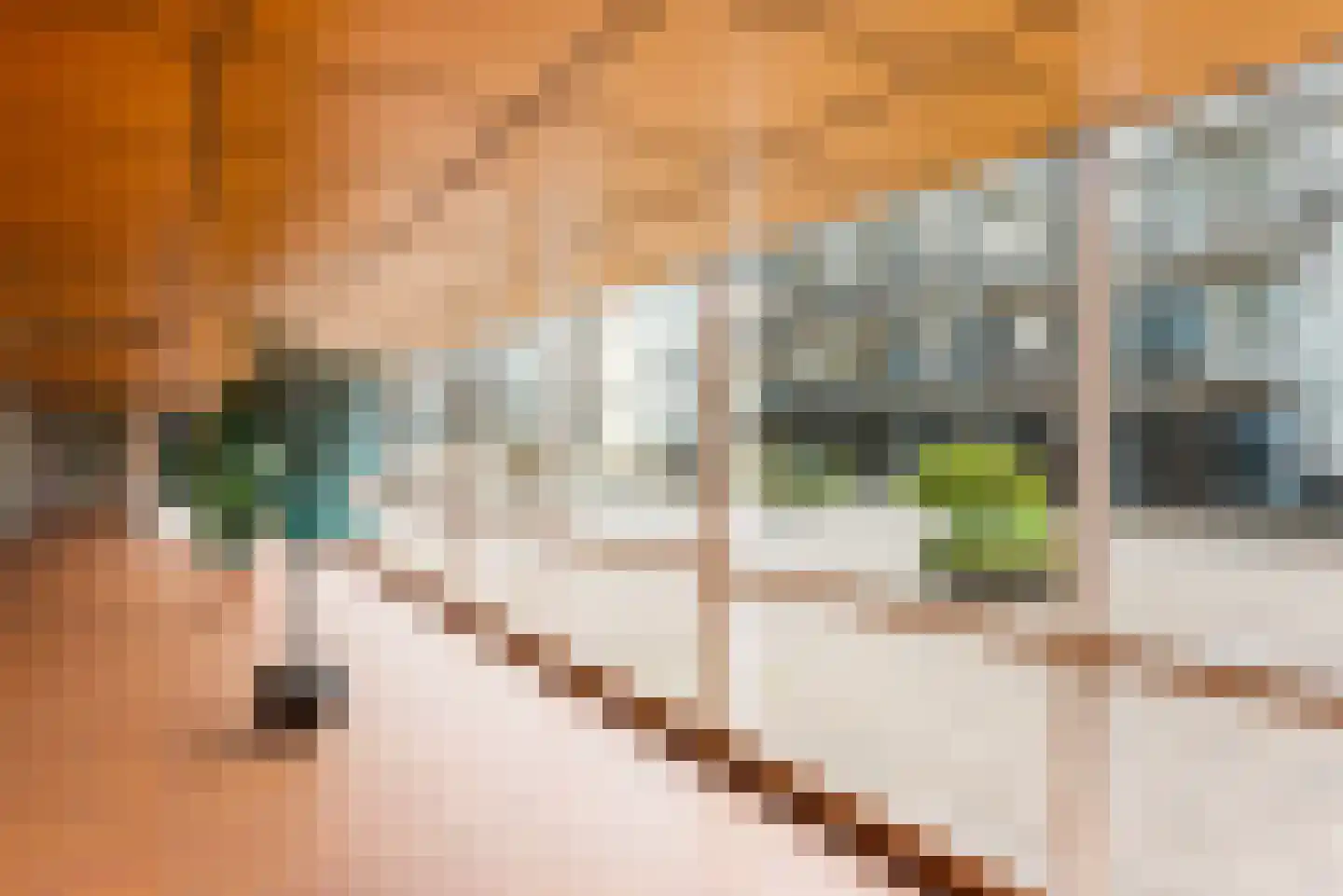 Palaceplein 18 Den Haag thumbnail 7