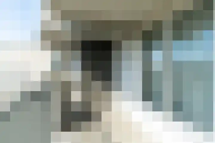 Palaceplein 183 Den Haag thumbnail 7