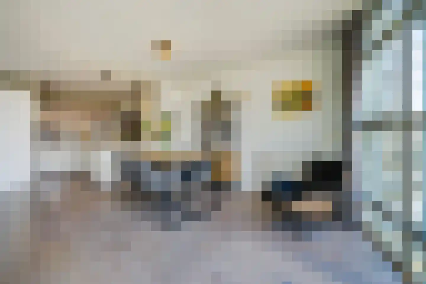 Palaceplein 185 Den Haag thumbnail 12