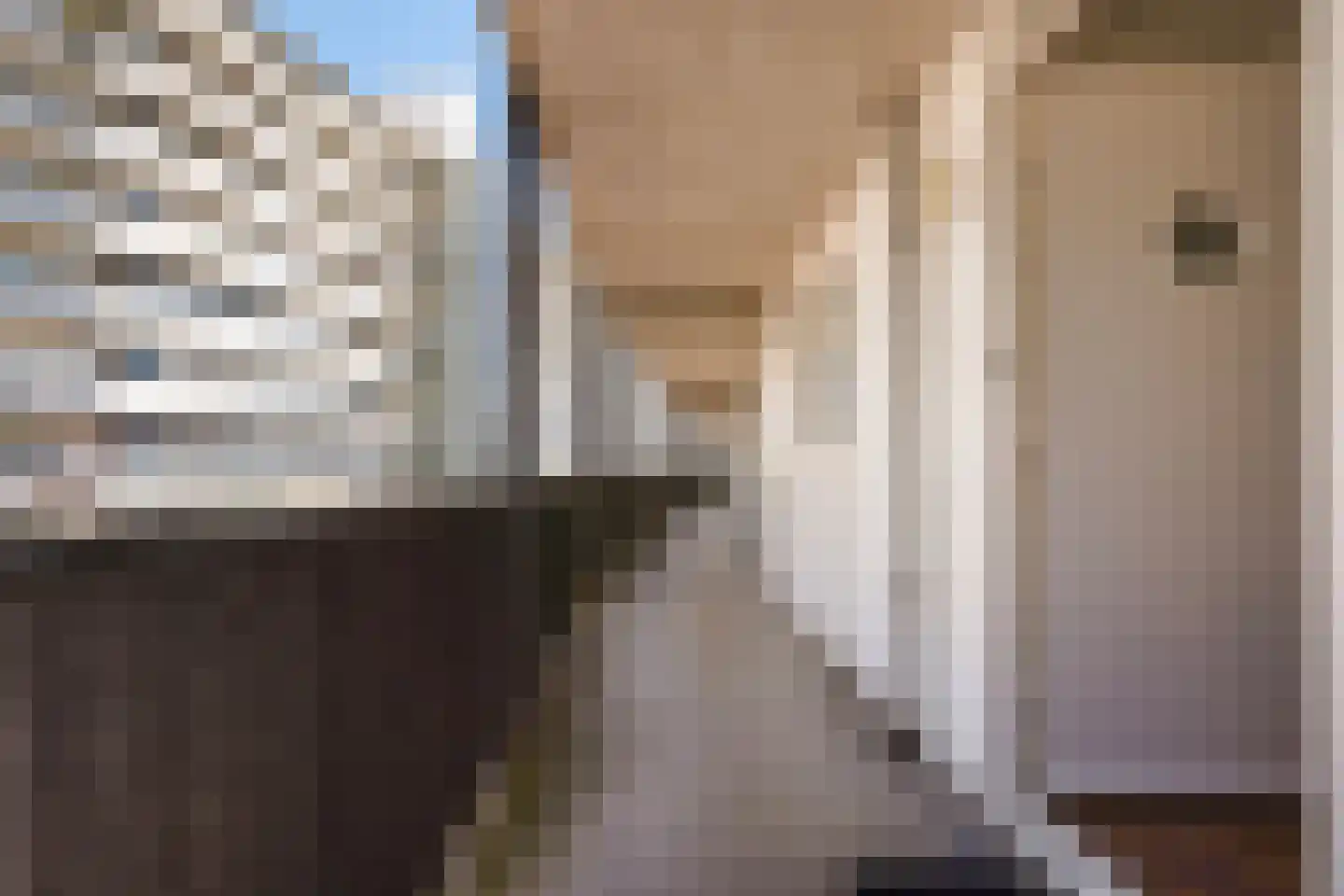 Palaceplein 19 Den Haag thumbnail 11