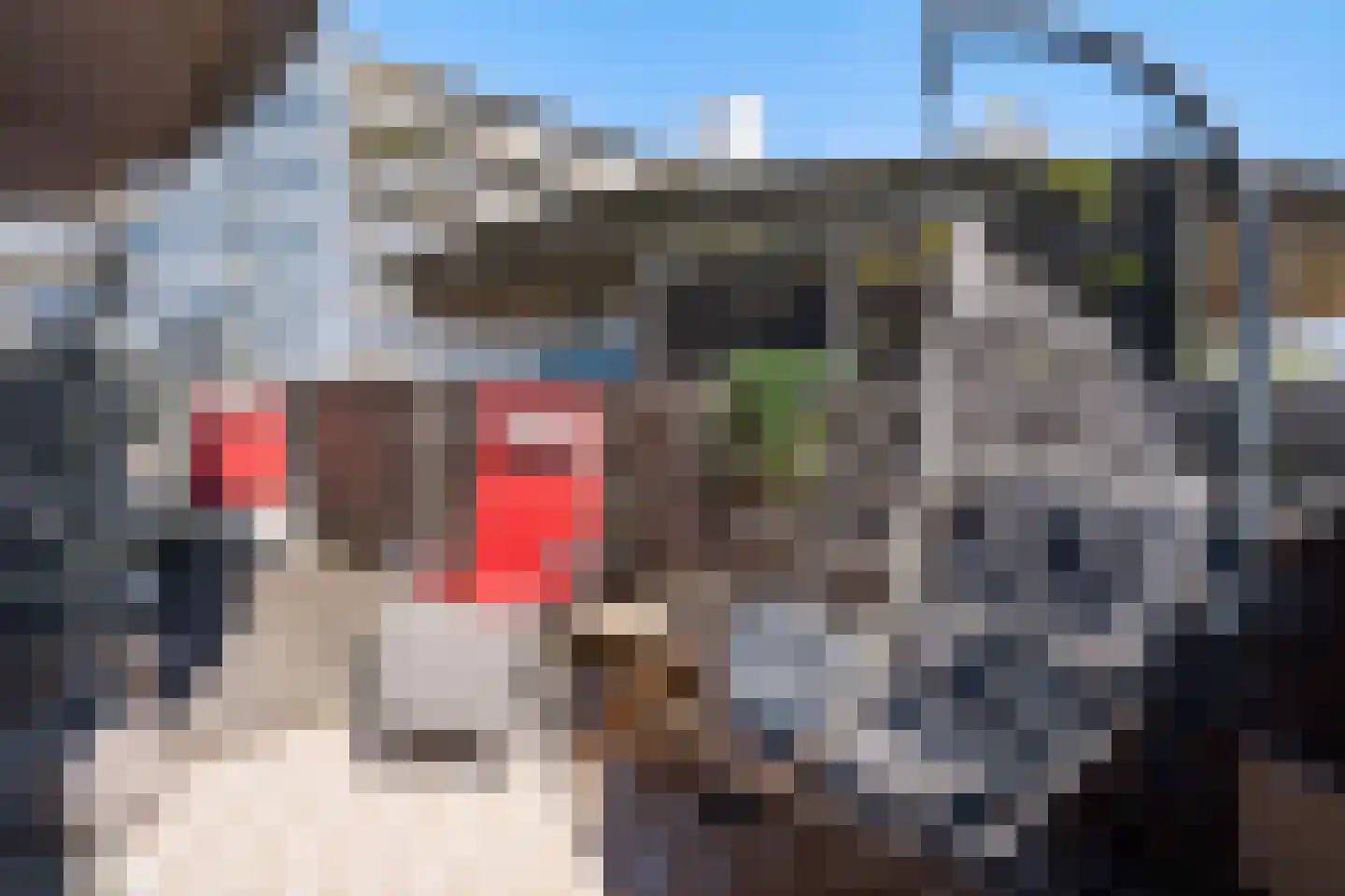 Palaceplein 19 Den Haag thumbnail 29