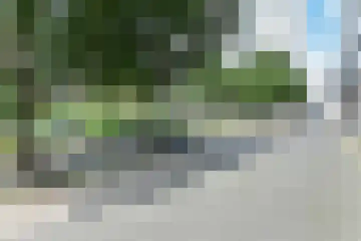 Palaceplein 19 Den Haag thumbnail 38