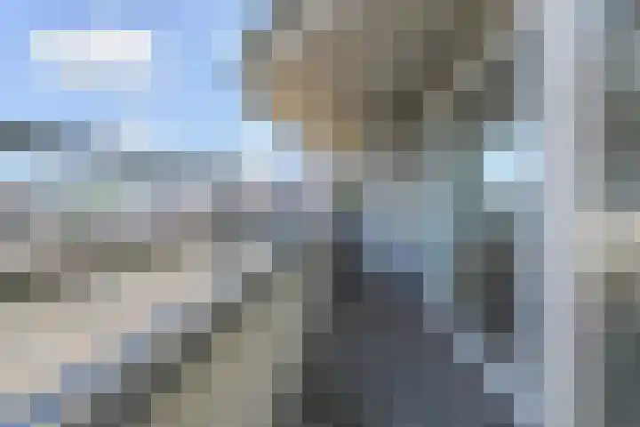 Palaceplein 21 Den Haag thumbnail 29