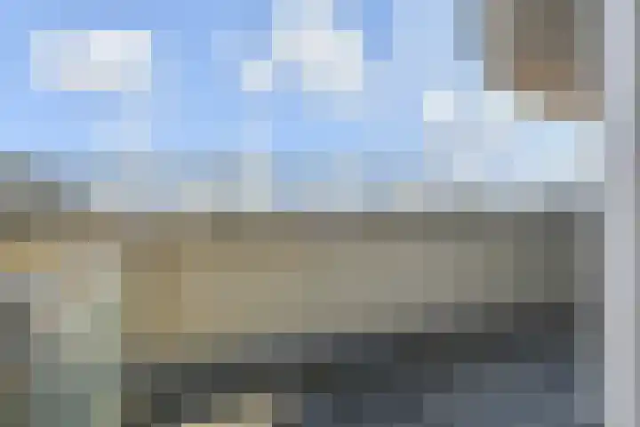 Palaceplein 21 Den Haag thumbnail 5