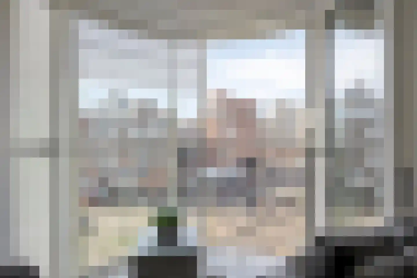 Palaceplein 219 Den Haag thumbnail 9