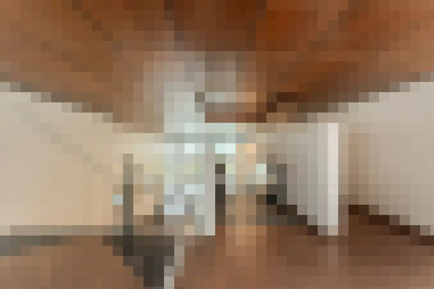 Palaceplein 230 Den Haag thumbnail 7