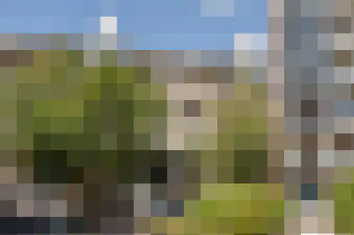 Palaceplein 41 Den Haag thumbnail 28