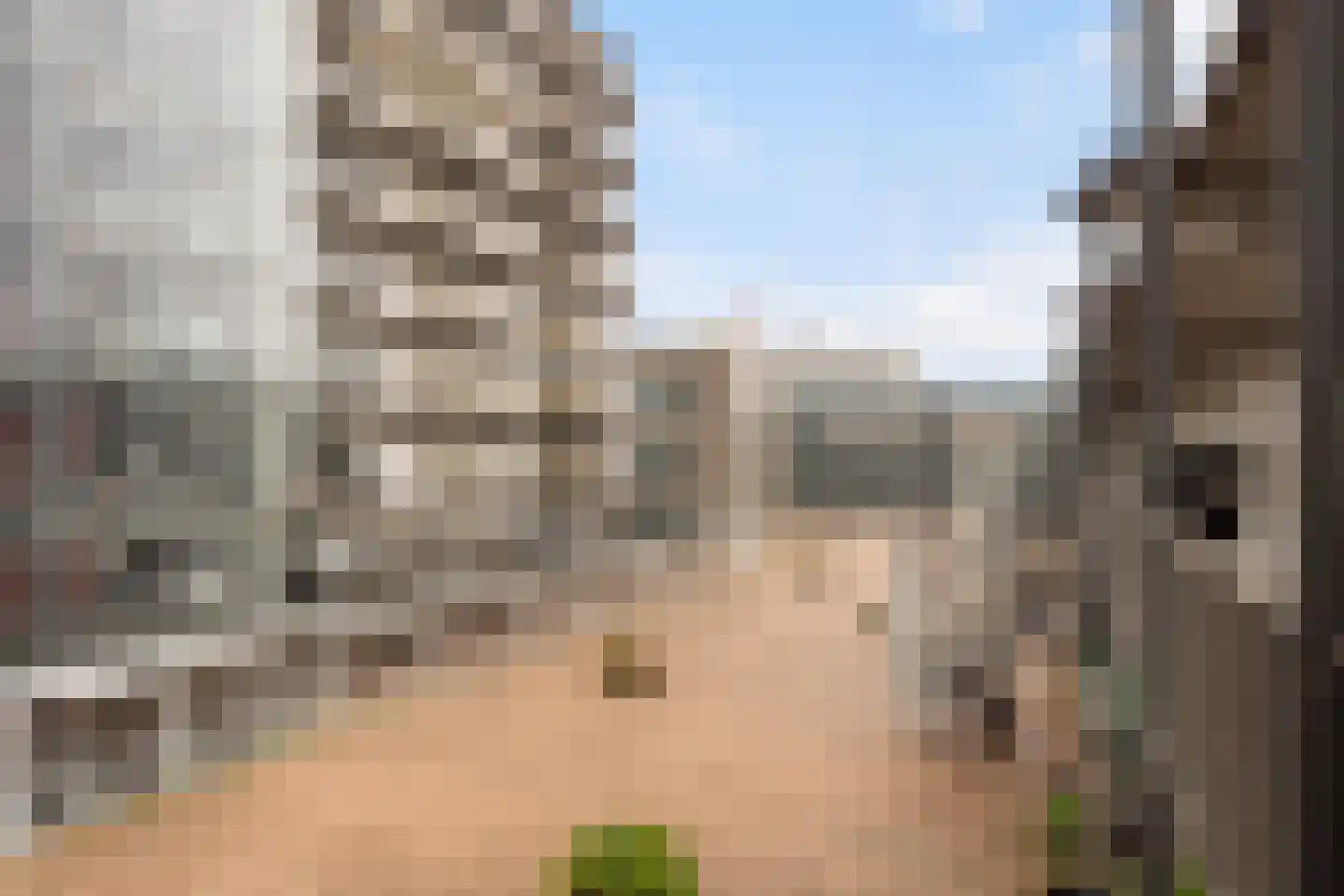 Palaceplein 50 Den Haag thumbnail 8