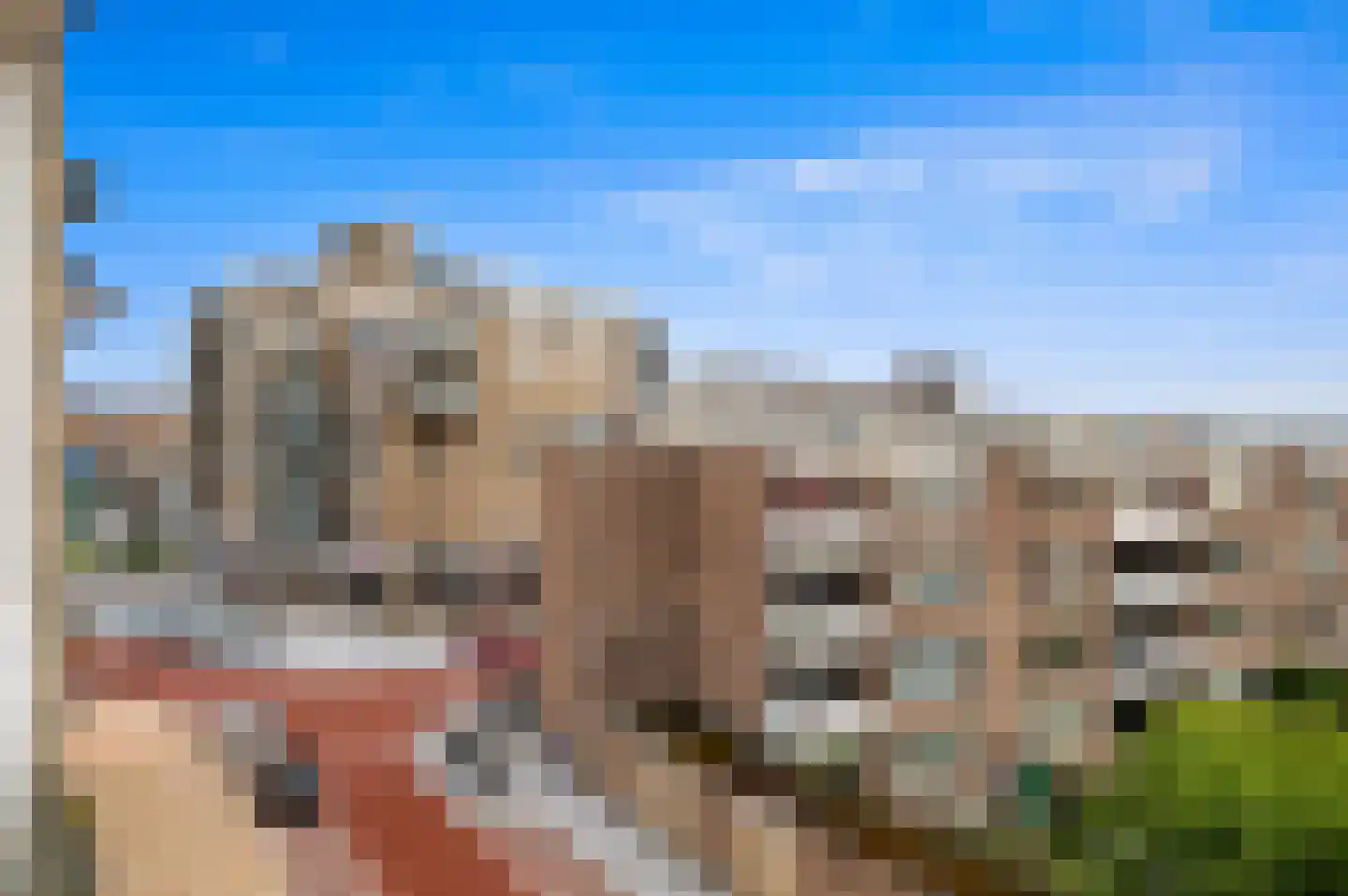 Palaceplein 51 Den Haag thumbnail 20