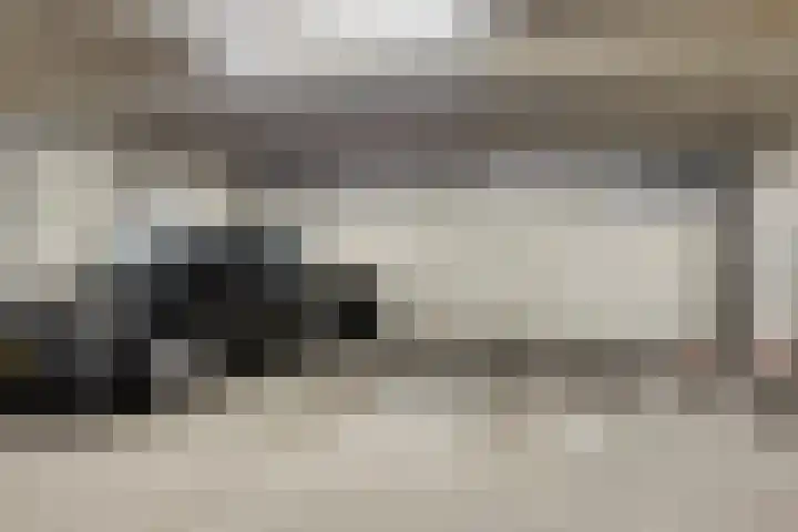Palaceplein 67 Den Haag thumbnail 6