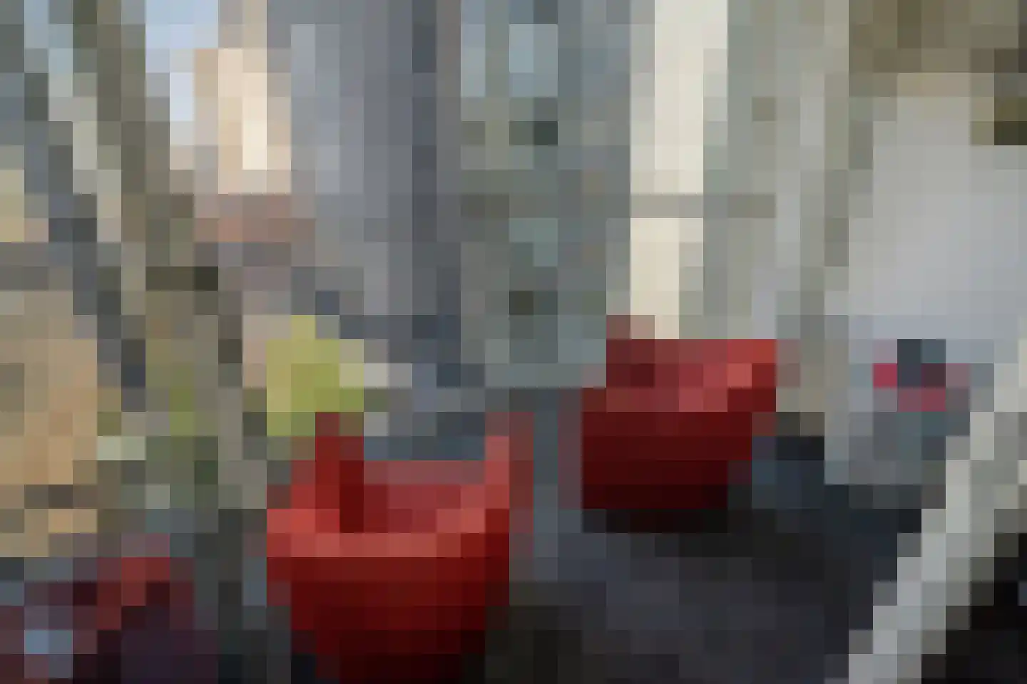 Palaceplein 90 Den Haag thumbnail 19