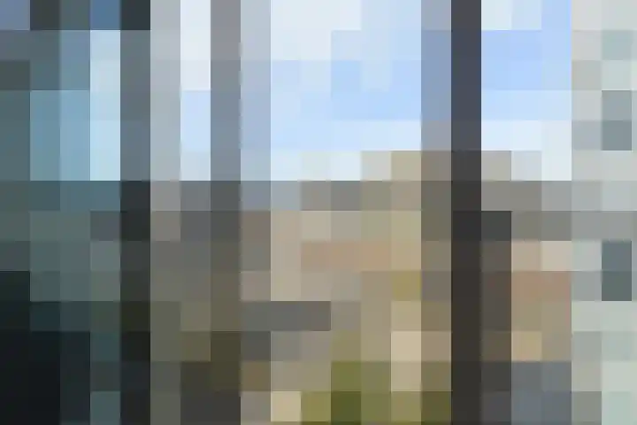 Palaceplein 93 Den Haag thumbnail 10