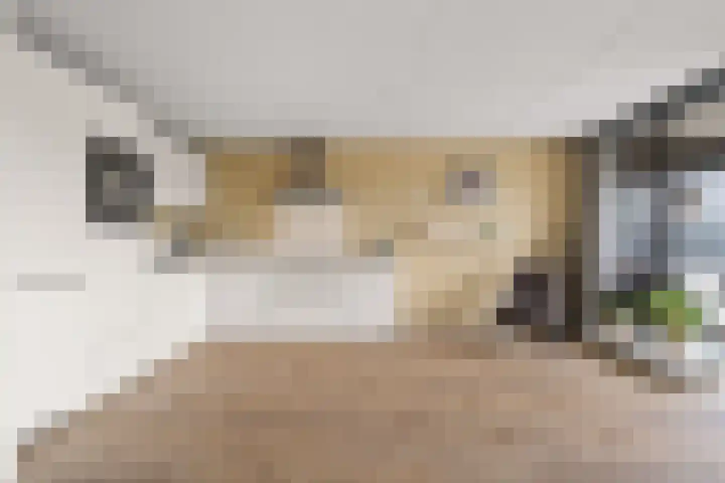 Paladijnenweg 33 Amersfoort thumbnail 14