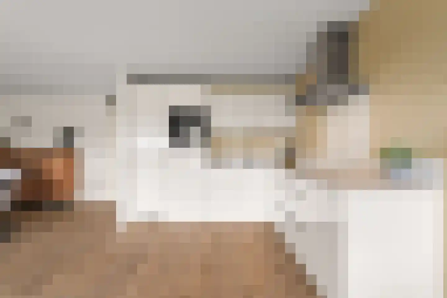 Paladijnenweg 33 Amersfoort thumbnail 15