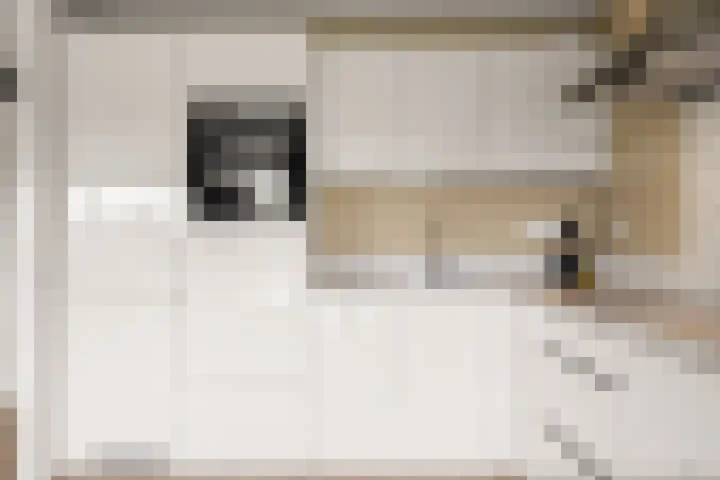Paladijnenweg 33 Amersfoort thumbnail 16