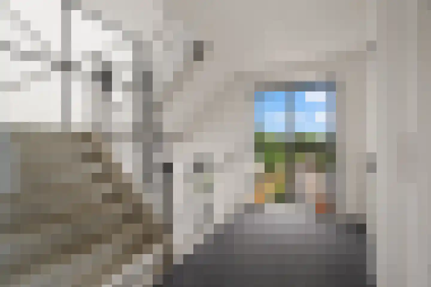 Paladijnenweg 33 Amersfoort thumbnail 36
