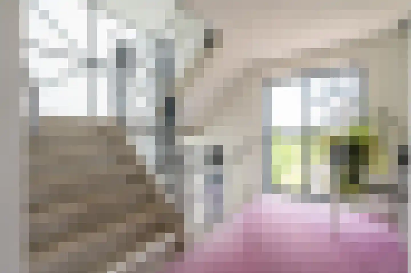 Paladijnenweg 39 Amersfoort thumbnail 29