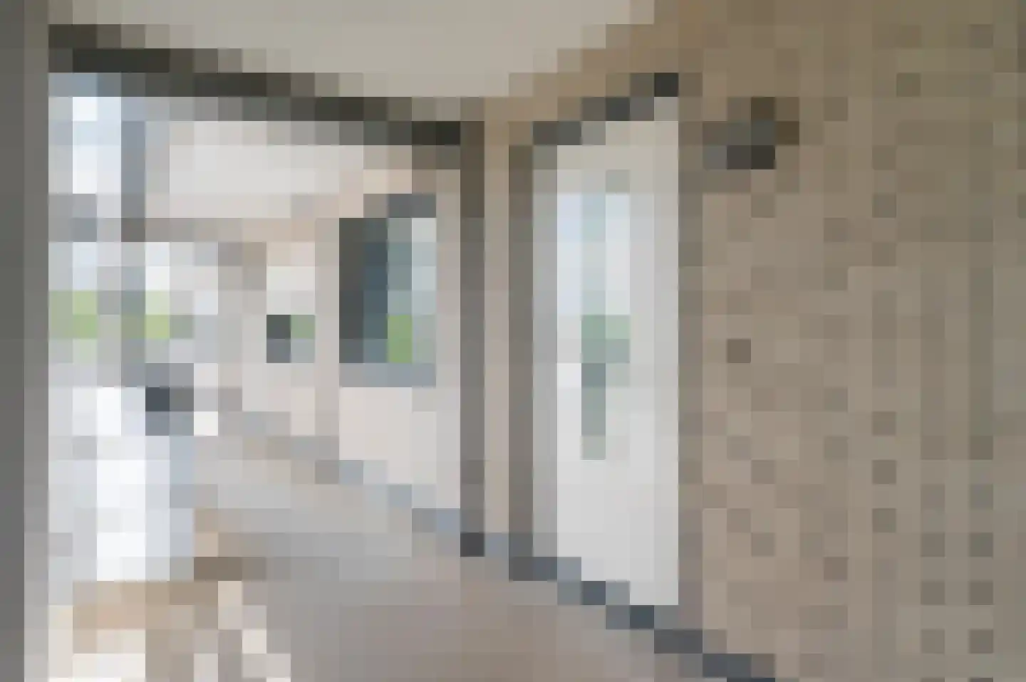 Paladijnenweg 39 Amersfoort thumbnail 31
