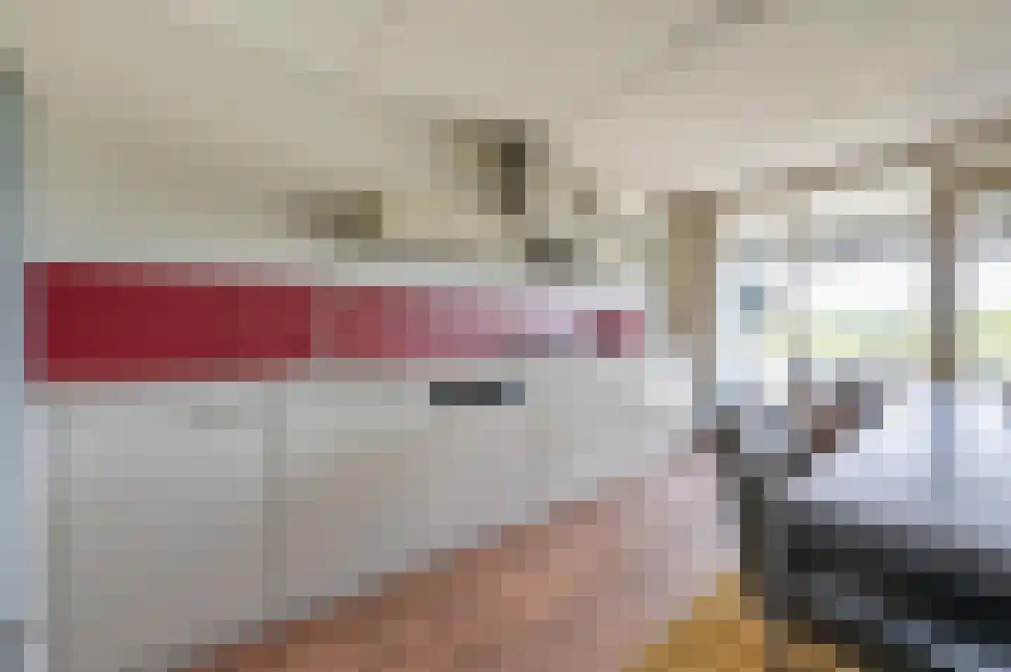 Paladijnenweg 39 Amersfoort thumbnail 8