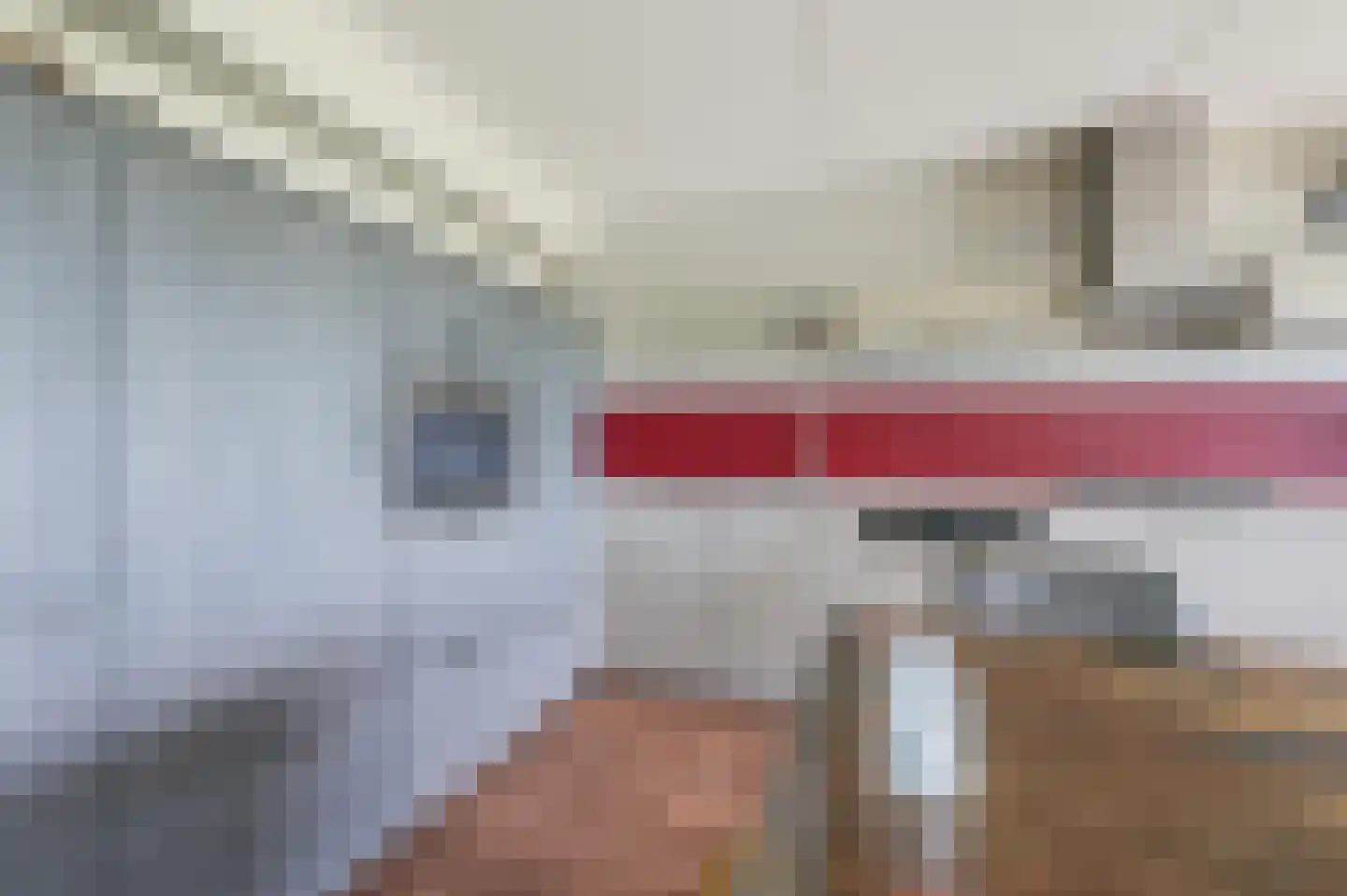Paladijnenweg 39 Amersfoort thumbnail 9