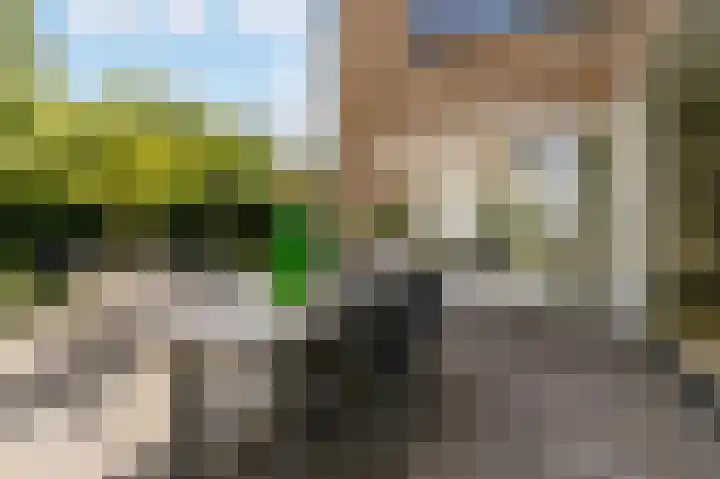Paladijnenweg 52 Amersfoort thumbnail 49