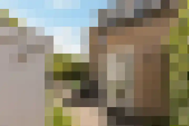 Paladijnenweg 52 Amersfoort thumbnail 66