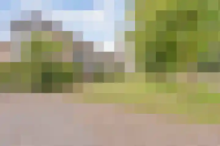 Paladijnenweg 61 Amersfoort thumbnail 31