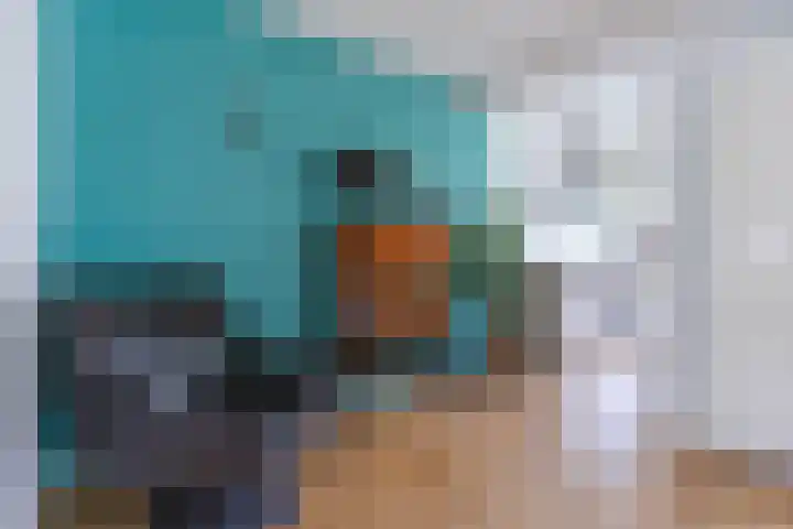 Paladijnstraat 23 Geldrop thumbnail 13