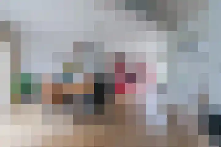 Paladijnstraat 23 Geldrop thumbnail 14