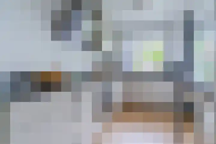 Paladijnstraat 23 Geldrop thumbnail 15