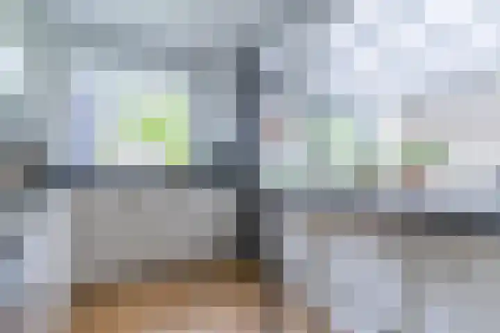 Paladijnstraat 23 Geldrop thumbnail 16