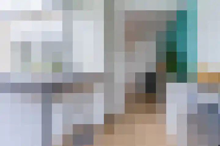 Paladijnstraat 23 Geldrop thumbnail 17