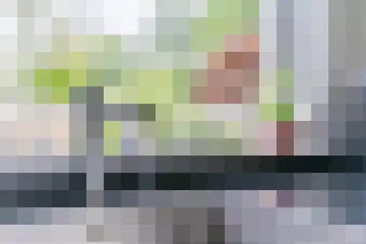 Paladijnstraat 23 Geldrop thumbnail 18